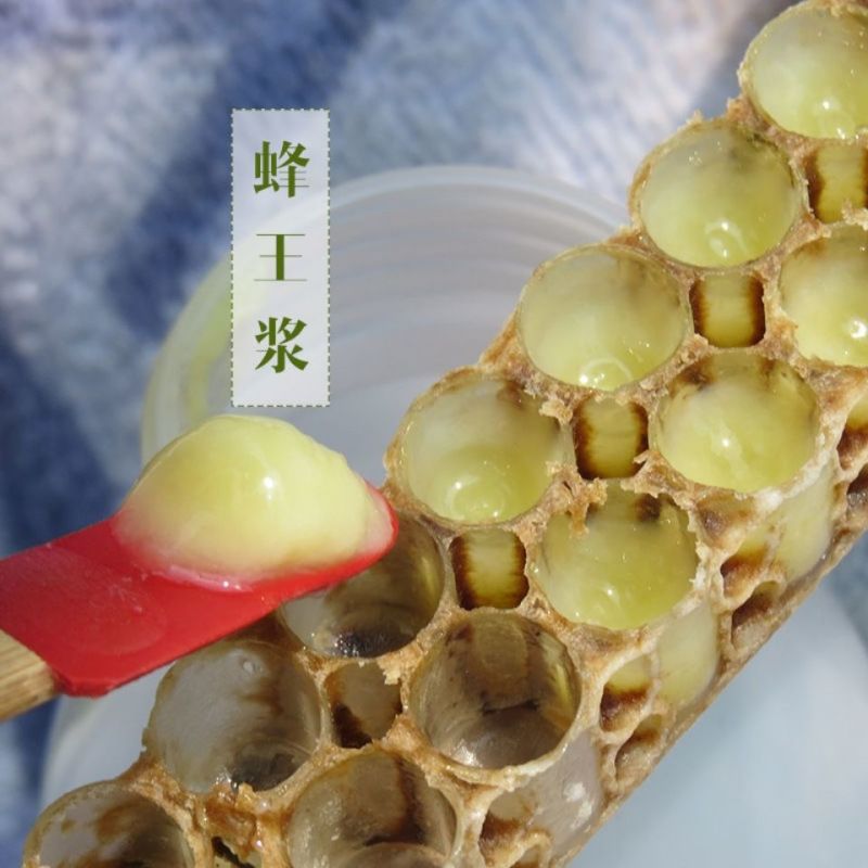 【蜂场直】蜂王浆野鲜王浆农家自产蜂皇浆新鲜蜂皇浆包邮