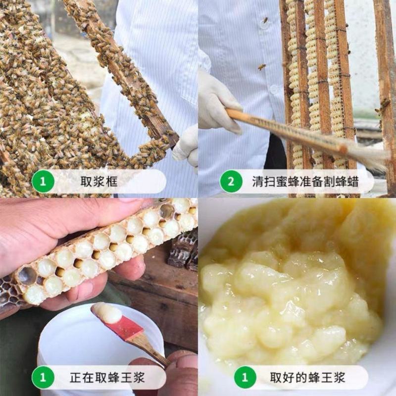 【蜂场直】蜂王浆野鲜王浆农家自产蜂皇浆新鲜蜂皇浆包邮
