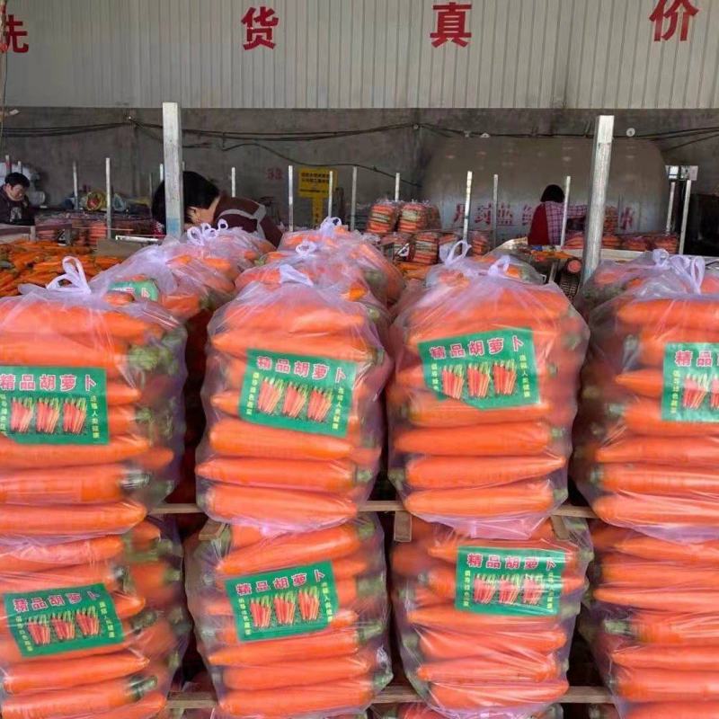 大量出售精品水洗胡萝卜，专业代办代发，商超，市场，加工厂