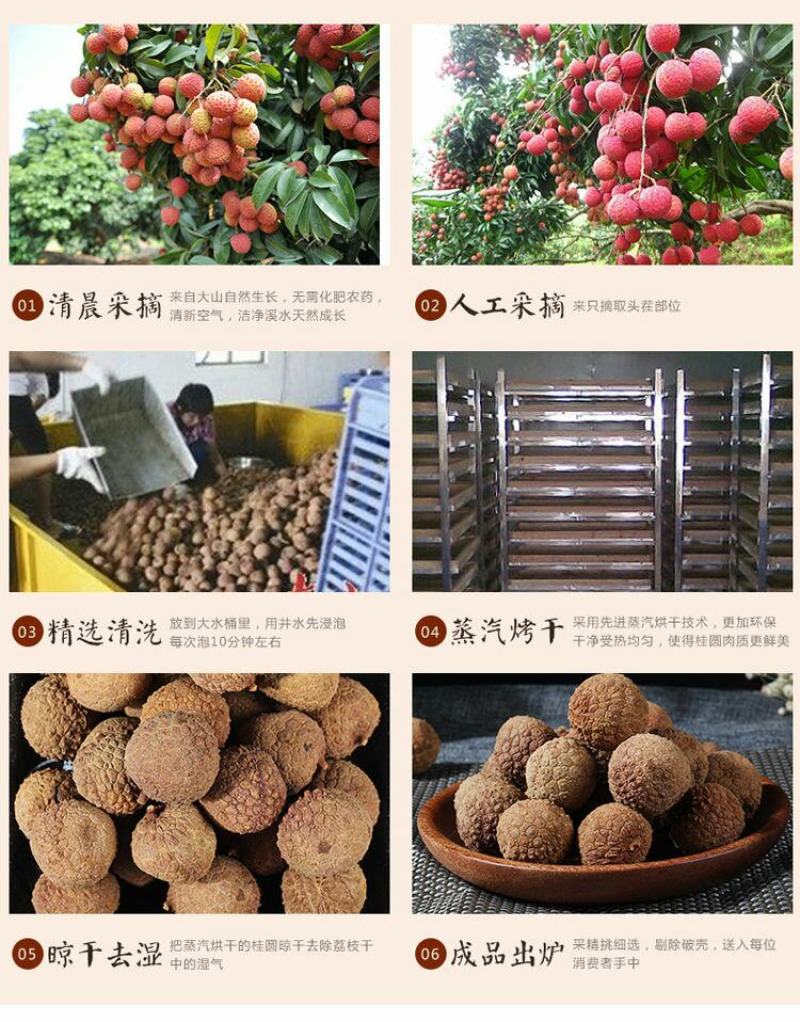 茶海虾王精品店荔枝干特级核小肉厚福建特产妃子笑1批发整箱