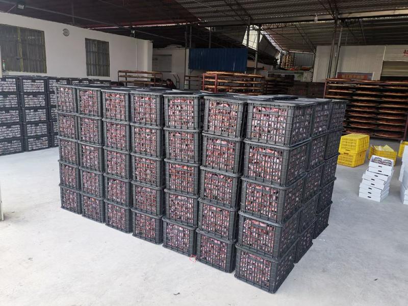 桂林恭城柿饼，包装规格可定制，产地直供。