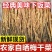 特级梅菜干梅干菜正宗梅干菜雪菜腌制咸菜下饭菜整颗菜干干货