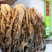 特级梅菜干梅干菜正宗梅干菜雪菜腌制咸菜下饭菜整颗菜干干货