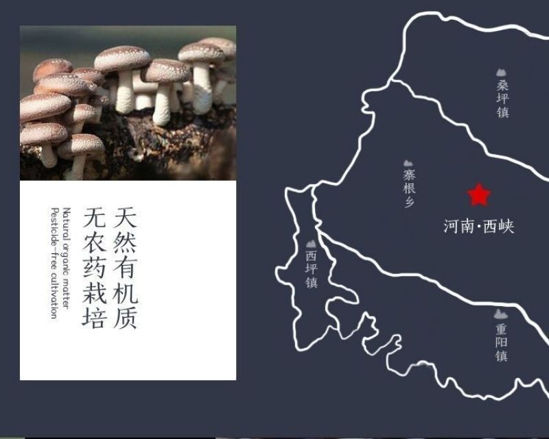 厂家产地香菇酱下饭酱拌饭酱拌菜拌饭酱包邮