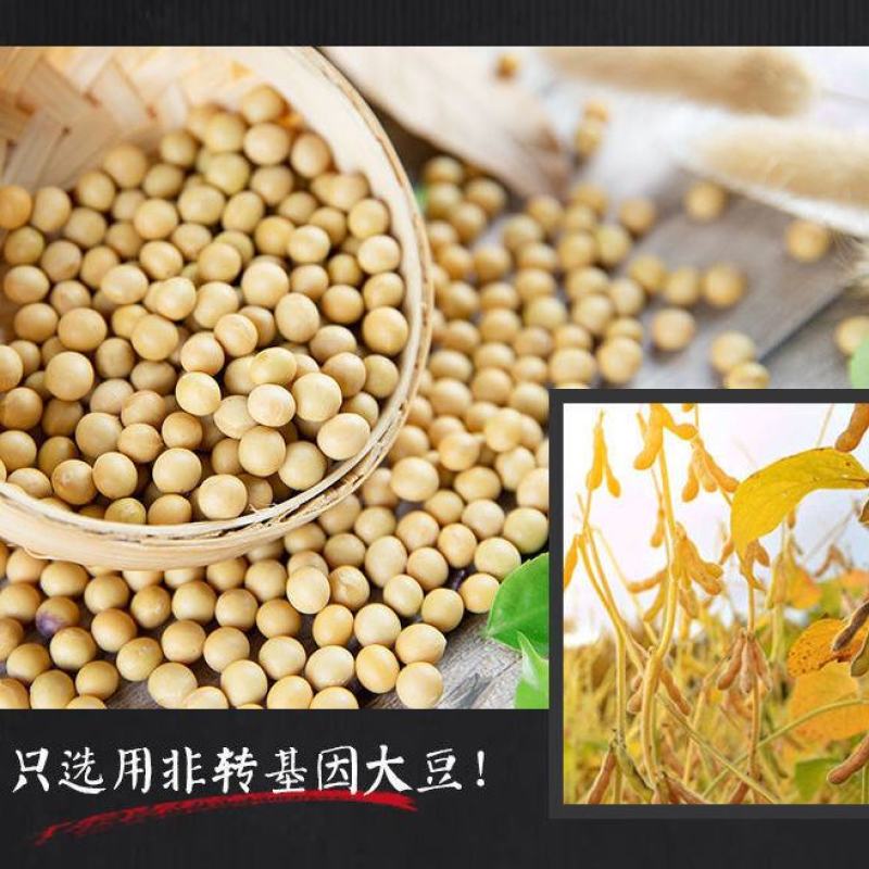 蛋白肉批发安徽特产干货人造肉豆制品大全干豆皮大白肉包邮