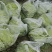 新鲜芦蒿正在售卖中