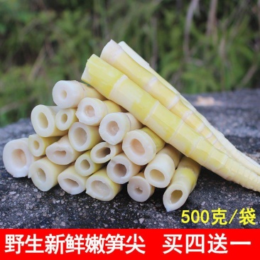 新鲜野生小竹笋春笋嫩笋尖笋片清水笋水煮笋江西特产包邮