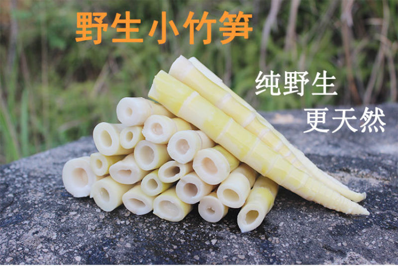 新鲜野生小竹笋春笋嫩笋尖笋片清水笋水煮笋江西特产包邮
