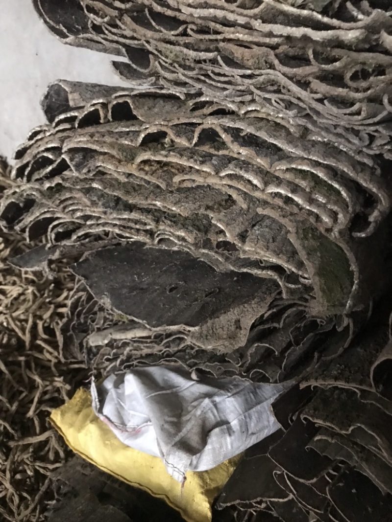 杜仲皮干货湖北中药材杜仲树皮丝绵树皮皮