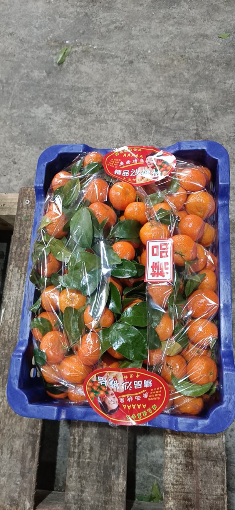 广西桂林荔浦市砂糖橘，颜色红，口感纯甜，皮薄肉嫩。