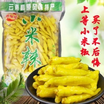 小米辣泡椒腌制野山椒泡辣椒自制泡凉拌菜调料朝天椒包邮