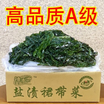 盐渍裙带菜干货特级5斤即食麻辣烫火锅新鲜嫩芽凉拌海