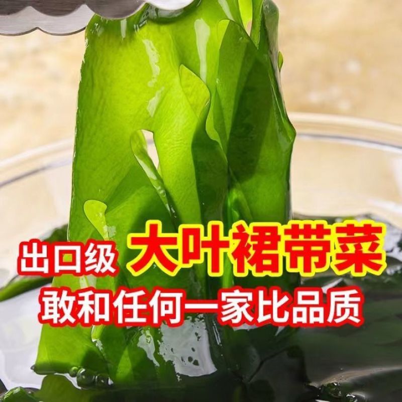 盐渍裙带菜干货特级5斤即食麻辣烫火锅新鲜嫩芽凉拌海