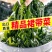 盐渍裙带菜干货特级5斤即食麻辣烫火锅新鲜嫩芽凉拌海