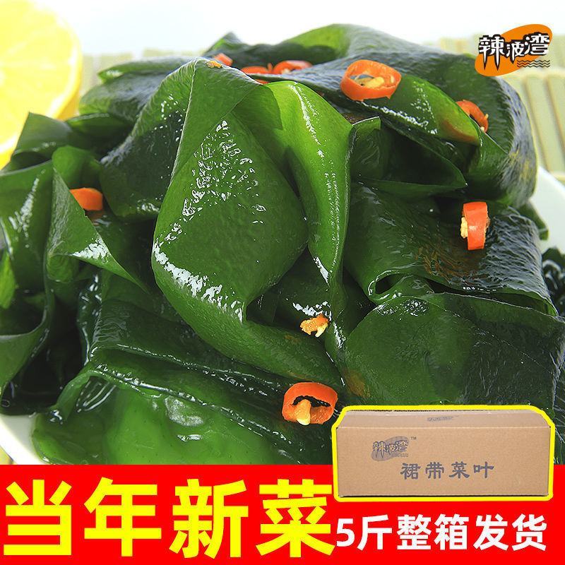 盐渍裙带菜干货特级5斤即食麻辣烫火锅新鲜嫩芽凉拌海