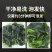 盐渍裙带菜干货特级5斤即食麻辣烫火锅新鲜嫩芽凉拌海