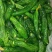 小黄瓜咸菜脆嫩黄瓜咸菜正宗东北手工自家盐渍黄瓜包邮