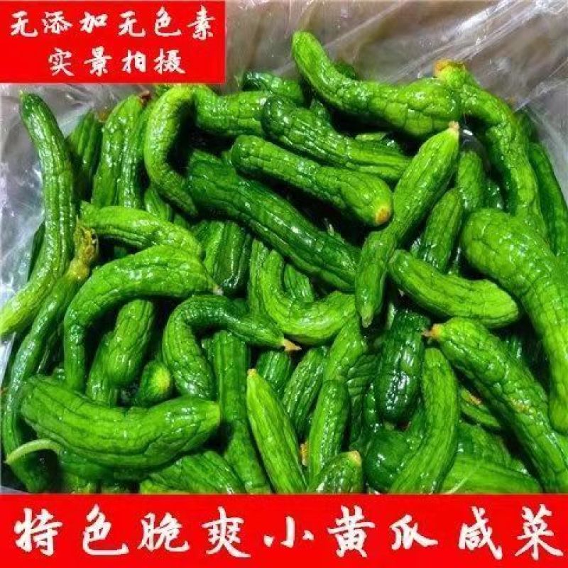 小黄瓜咸菜脆嫩黄瓜咸菜正宗东北手工自家盐渍黄瓜包邮