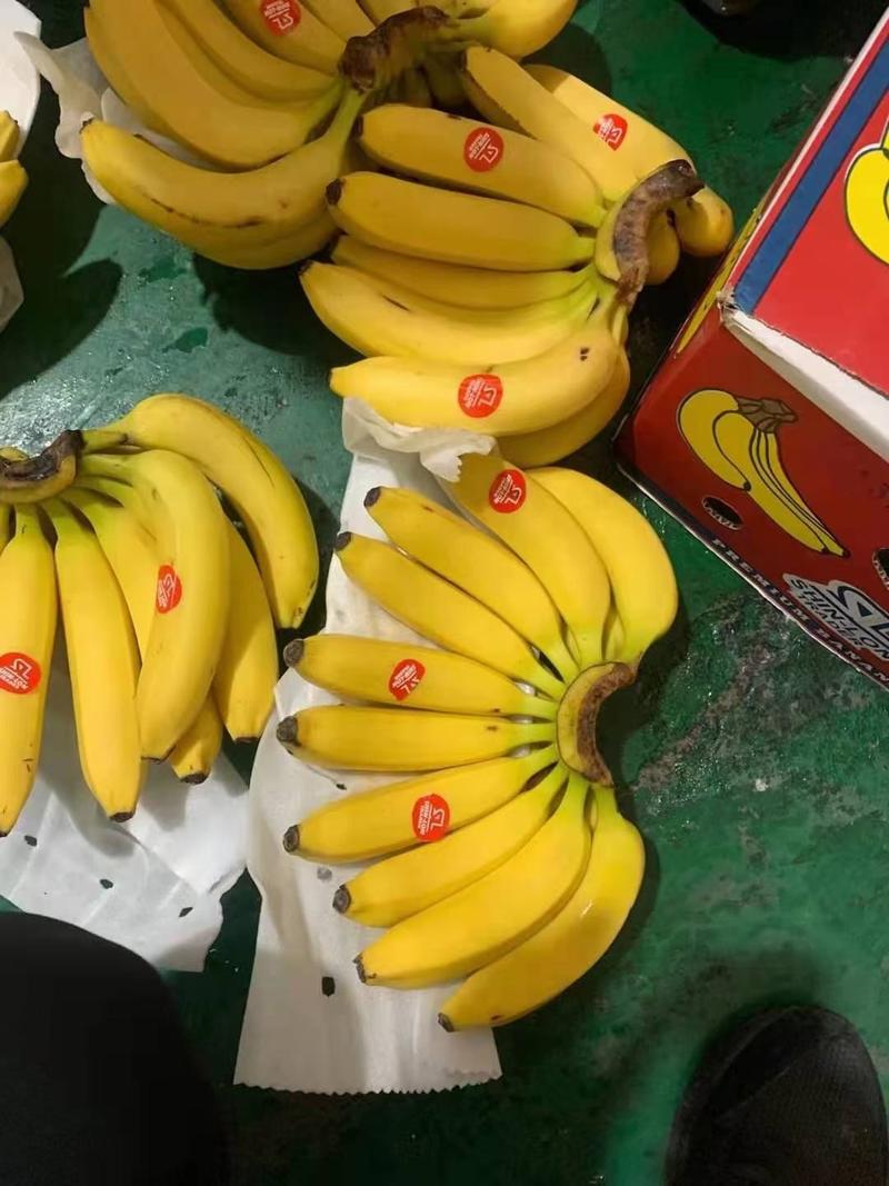 菲律宾进口蕉，28斤，口感软糯，甜，不黑心，正牌大蕉