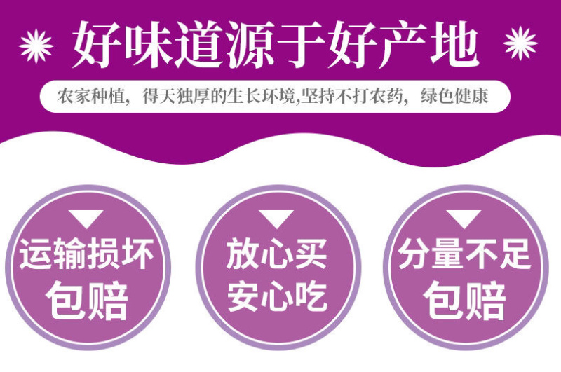 【香甜粉糯】广西沙地新鲜紫薯番薯蜜薯地瓜蔬菜批发5斤9斤