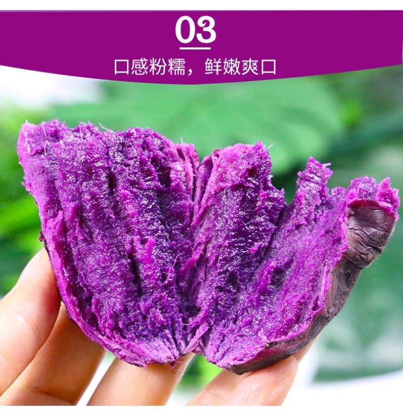 【香甜粉糯】广西沙地新鲜紫薯番薯蜜薯地瓜蔬菜批发5斤9斤