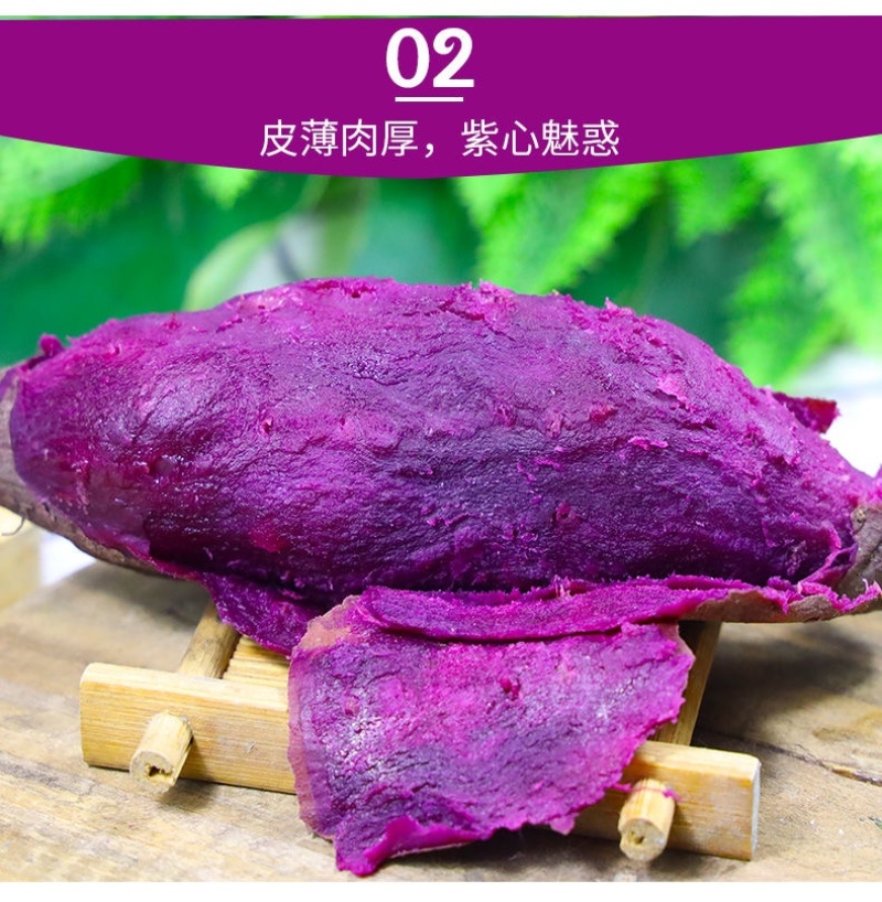 【香甜粉糯】广西沙地新鲜紫薯番薯蜜薯地瓜蔬菜批发5斤9斤