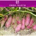【香甜粉糯】广西沙地新鲜紫薯番薯蜜薯地瓜蔬菜批发5斤9斤