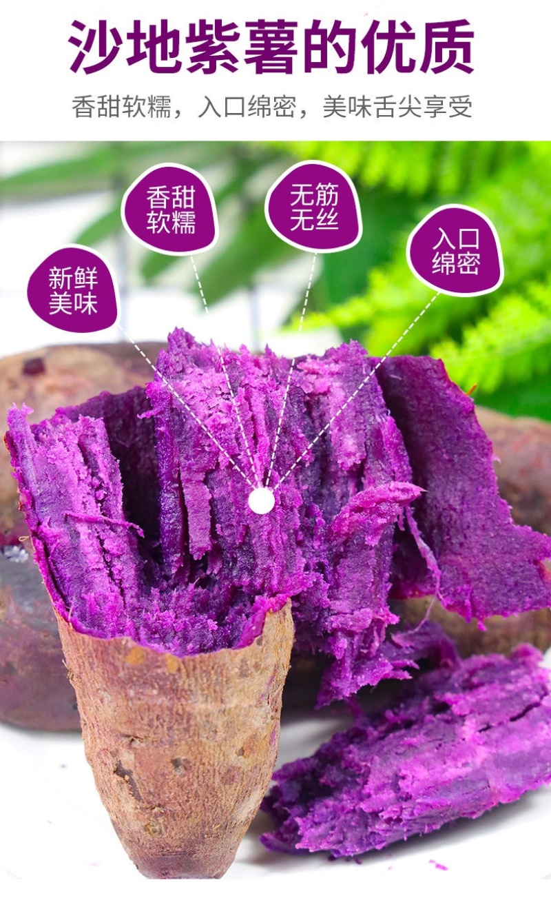【香甜粉糯】广西沙地新鲜紫薯番薯蜜薯地瓜蔬菜批发5斤9斤