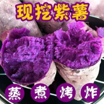 【香甜粉糯】广西沙地新鲜紫薯番薯蜜薯地瓜蔬菜批发5斤9斤