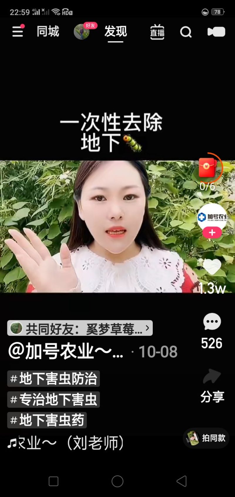 纯手工红薯粉条