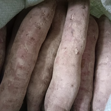 纯手工红薯粉条
