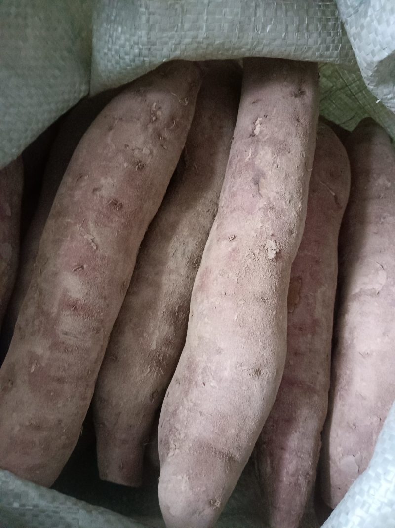 纯手工红薯粉条