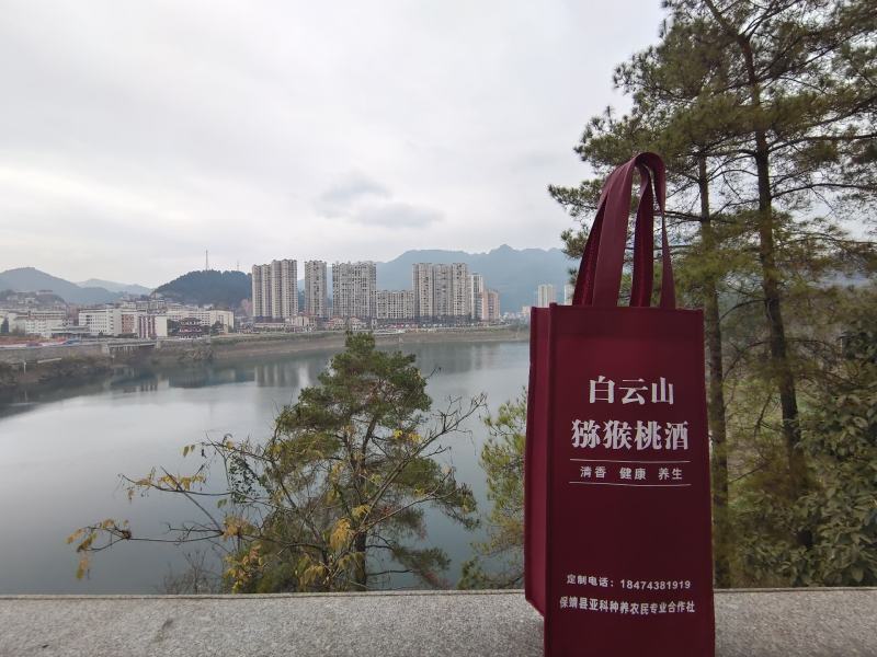 猕猴桃白兰地，黄金果酒，自然清香，健康养生。