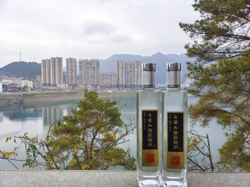 猕猴桃白兰地，黄金果酒，自然清香，健康养生。