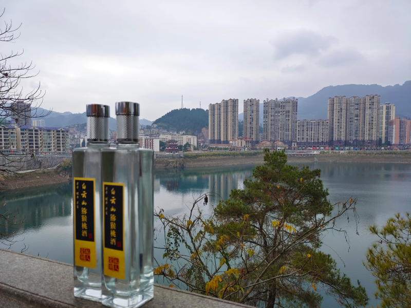 猕猴桃白兰地，黄金果酒，自然清香，健康养生。