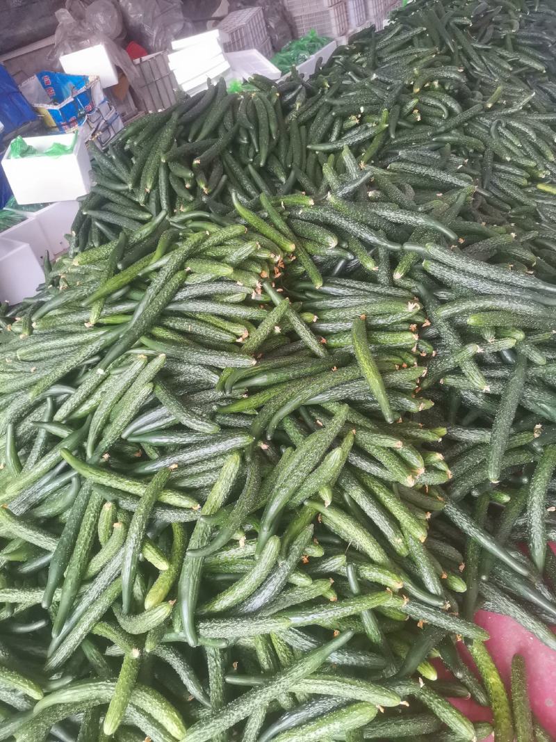 黄瓜