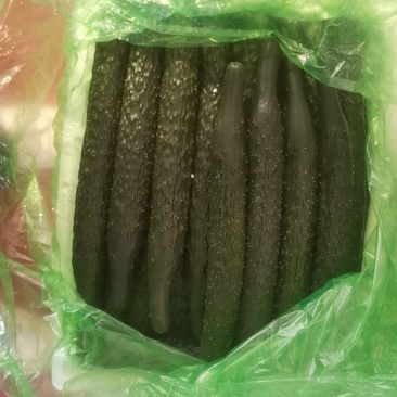 黄瓜
