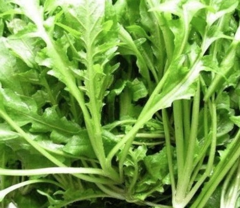 荠菜购销新鲜荠菜潍坊市荠菜野生荠菜菜多多冷链物流园