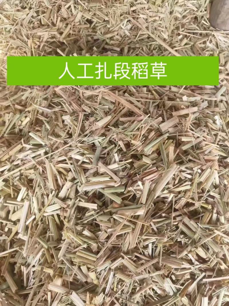 稻草，扎段稻草揉丝稻草整颗稻草养殖畜牧，防风治沙产地直发