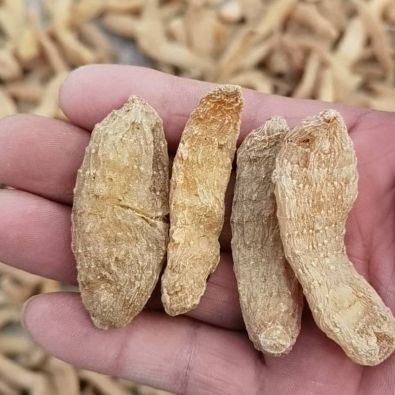 【产地批发】无硫小天麻，短支甜味，合作社自产自销，质优价