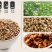 【产地直】香菜籽致味芫荽籽胡荽籽香籽可打粉整箱包邮