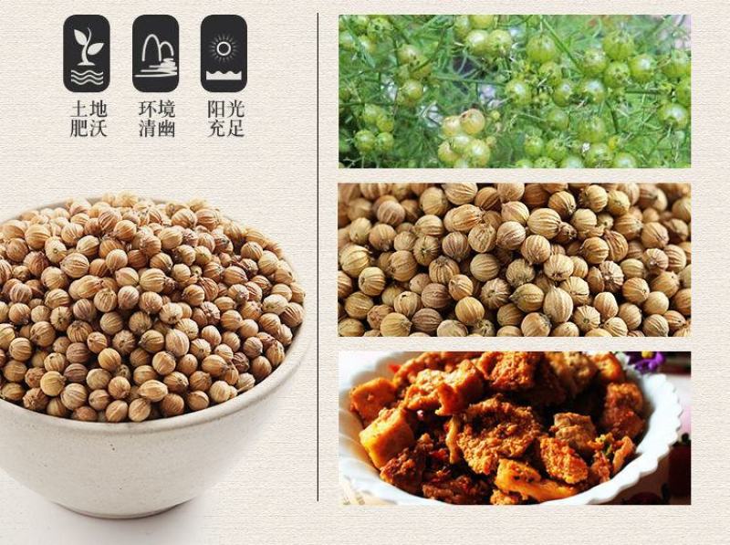 【产地直】香菜籽致味芫荽籽胡荽籽香籽可打粉整箱包邮