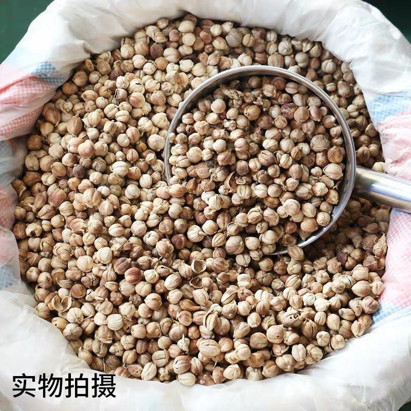 【厂家直】【产地直】白寇无硫全干白豆蔻500克包邮