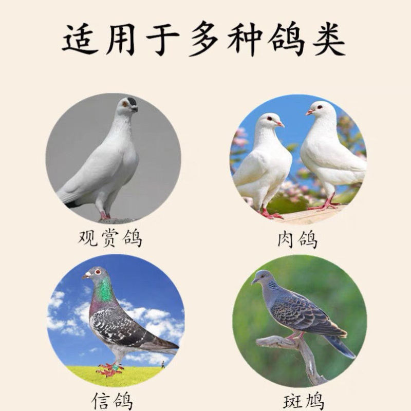 花椒籽鸽用鸽粮驱虫亮羽增膘健体信鸽赛鸽肉鸽花椒籽包邮