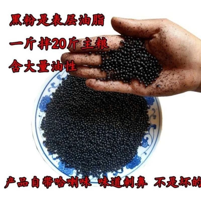 花椒籽鸽用鸽粮驱虫亮羽增膘健体信鸽赛鸽肉鸽花椒籽包邮