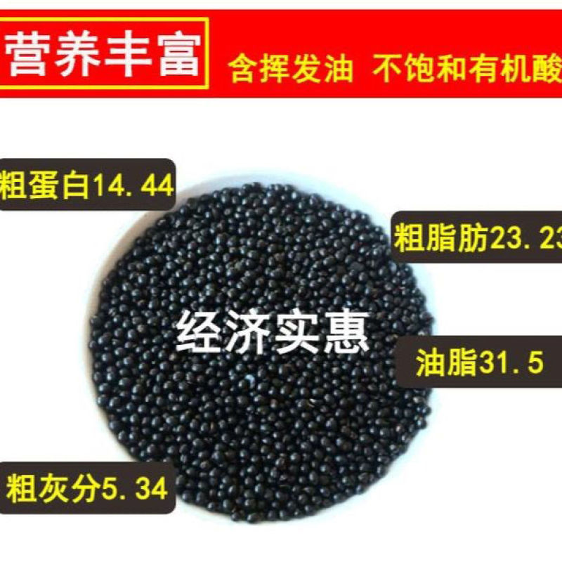 花椒籽鸽用鸽粮驱虫亮羽增膘健体信鸽赛鸽肉鸽花椒籽包邮