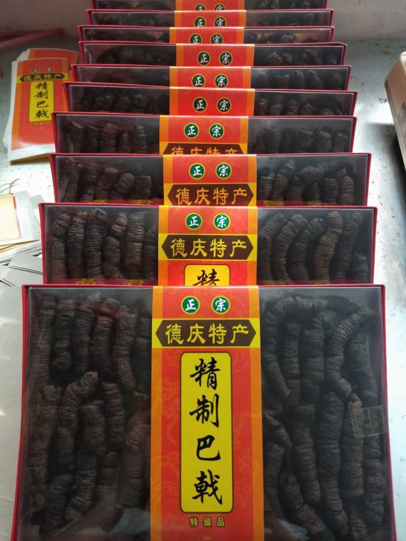 高品质正宗德庆巴戟天