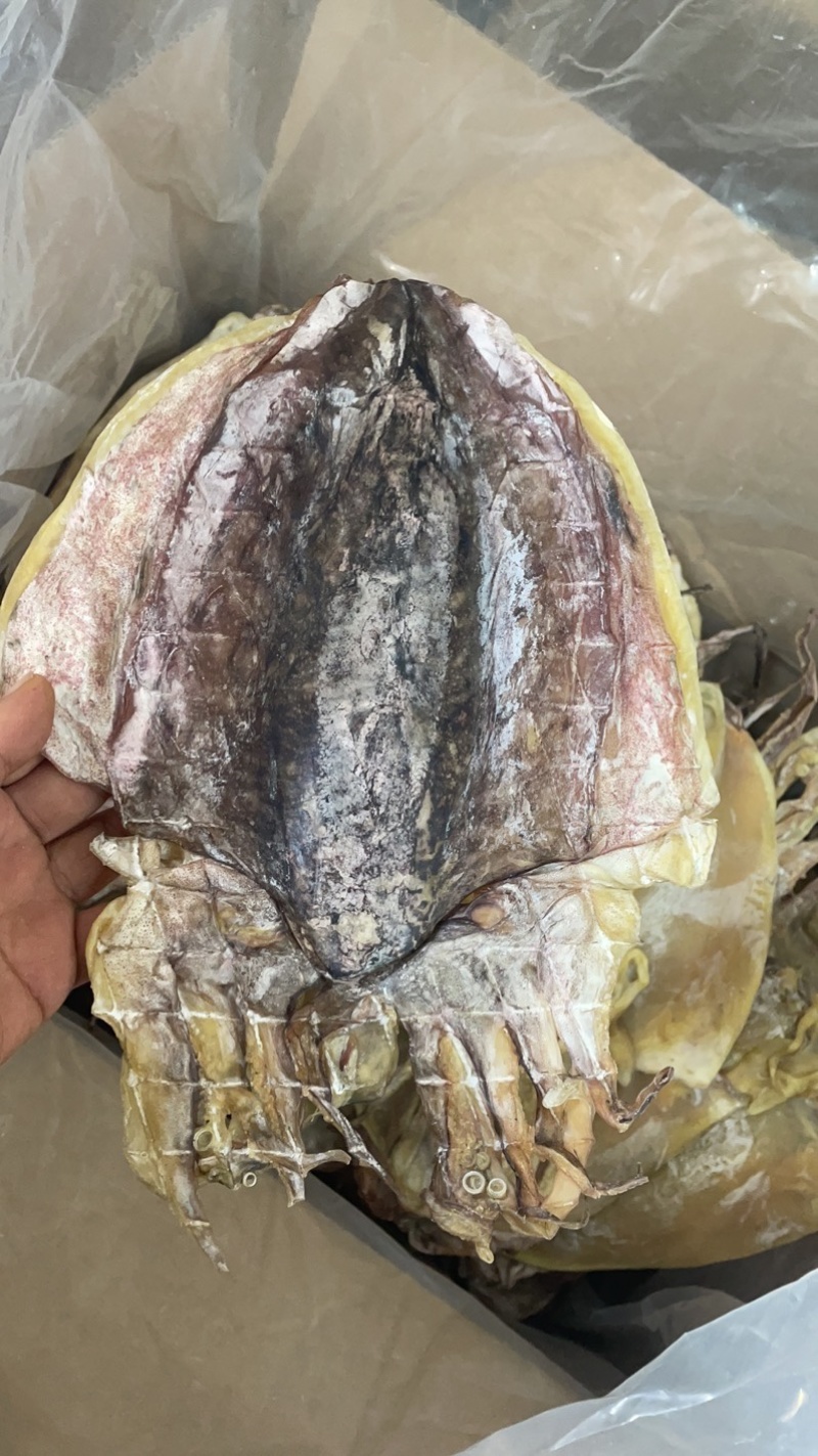 墨鱼干东鸡花鸡干货年货一斤一头淡盐