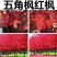 新采五角枫种子五角枫树籽绿化苗木树种子元宝枫种子元宝枫树