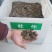 新采一级杜仲种子丝棉皮棉树皮胶树中药材树种子杜仲种籽